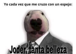 Enlace a Cuando me paro a ver mi reflejo