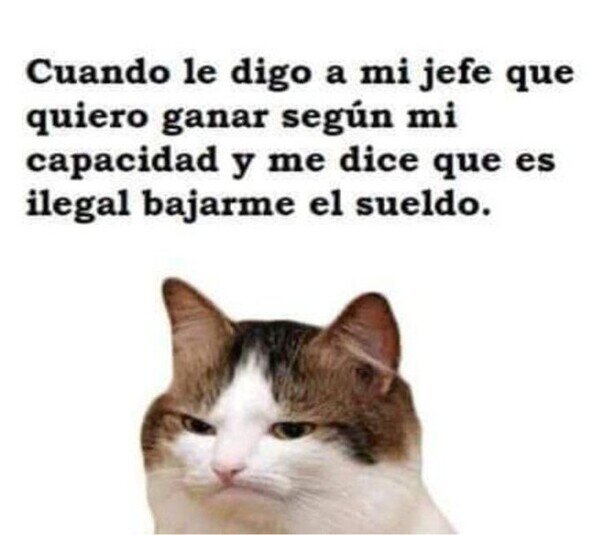 Meme_otros - Mi puesto pende de un hilo