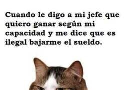 Enlace a Mi puesto pende de un hilo