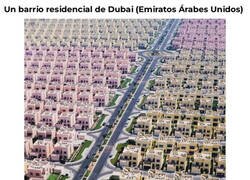 Enlace a Me quedo con mi barrio