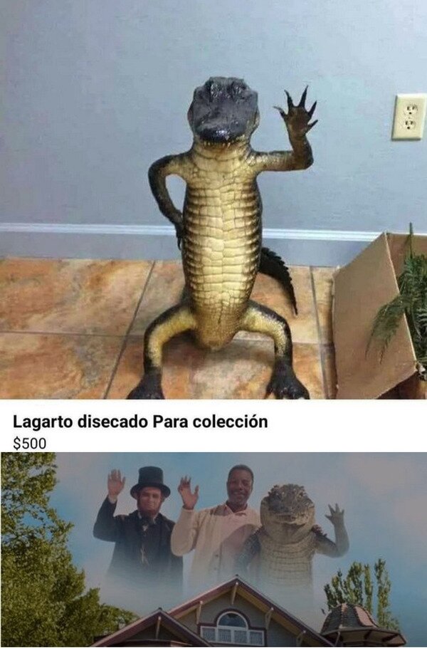 Meme_otros - Mira como saluda y todo