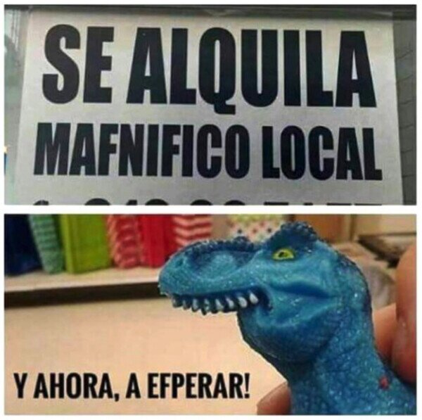 local,alquilar,finofaurio