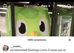 Enlace a Cuando Duolingo te deja por los suelos
