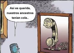 Enlace a La realidad virtual no se lo creería tampoco