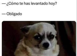 Enlace a El día ya empieza torcido