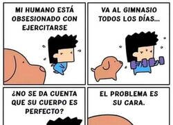 Enlace a Su problema físico