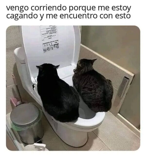 Meme_otros - No hay más remedio que hacérselo encima