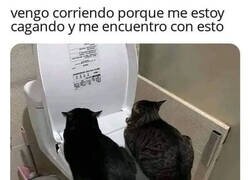 Enlace a No hay más remedio que hacérselo encima