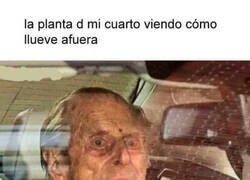 Enlace a Mirada seca