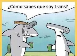 Enlace a ¿Cómo lo supiste?