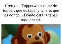 Enlace a Ahora conocemos la etimología del aparato