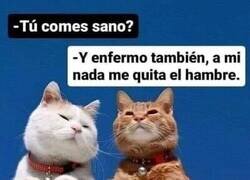 Enlace a Nada me impide comer