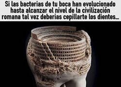 Enlace a Quizá va siendo hora