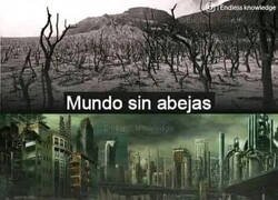 Enlace a Sería un mundo mejor