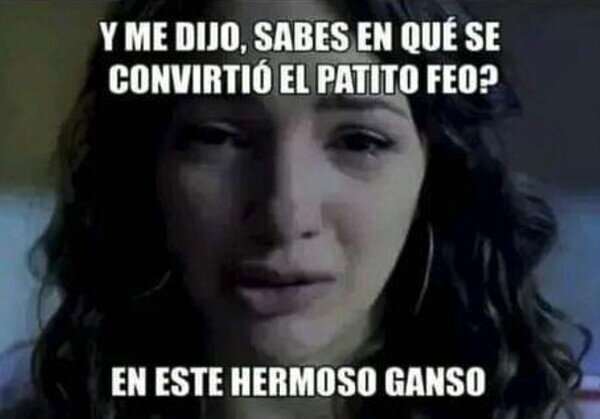 Otros - Respuesta correcta