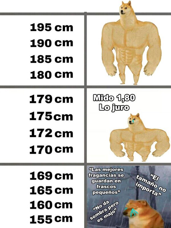 Otros - Dime cuánto mides y te diré quién eres