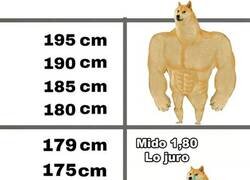 Enlace a Dime cuánto mides y te diré quién eres