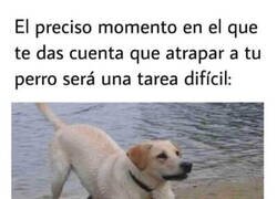 Enlace a No se va a dejar