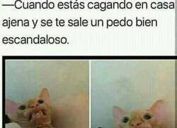 Enlace a Pido perdón