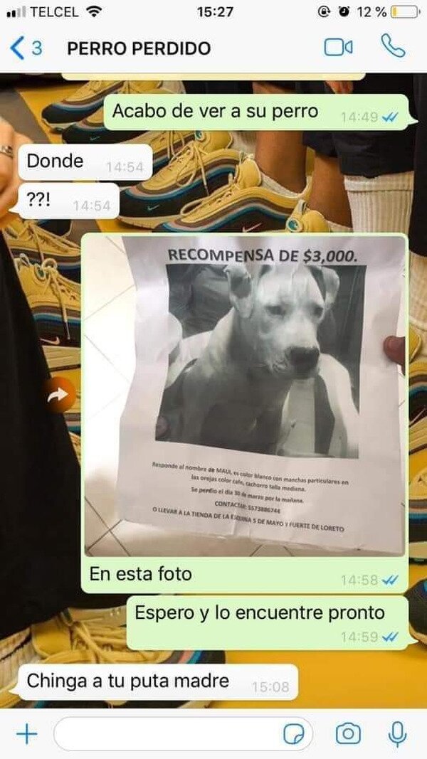 Meme_otros - Acabo de ver a tu perro