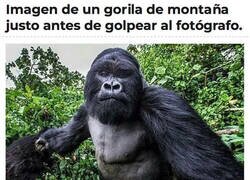 Enlace a La última foto