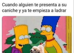 Enlace a Todavían creerán que es bonito