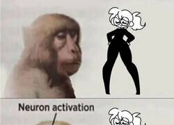 Enlace a Cuando se activa la neurona