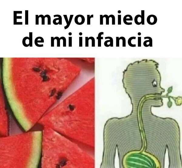 Meme_otros - ¿Alguien más temía que le pasara esto?
