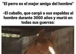 Enlace a Malditos humanos desagradecidos