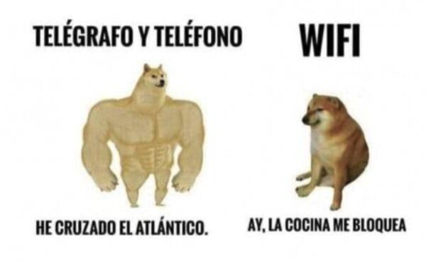 Otros - La mejor conexión creada por el ser humano