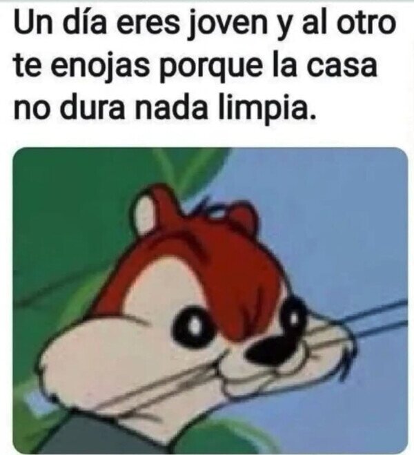 joven,viejo,durar,casa,limpia,sucia