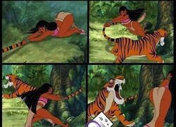 Enlace a El tigre tonto no era