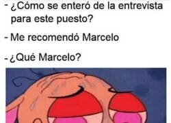 Enlace a Y por eso no me volvieron a llamar