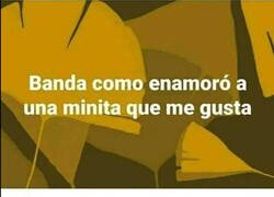 Enlace a No me extraña que no sepa enamorar