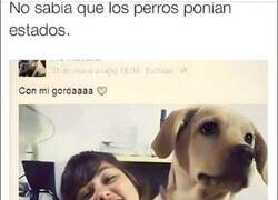 Enlace a ¿Quién ha escrito eso?