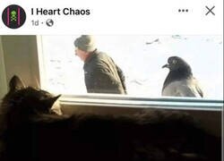 Enlace a Me gusta imaginarme cosas