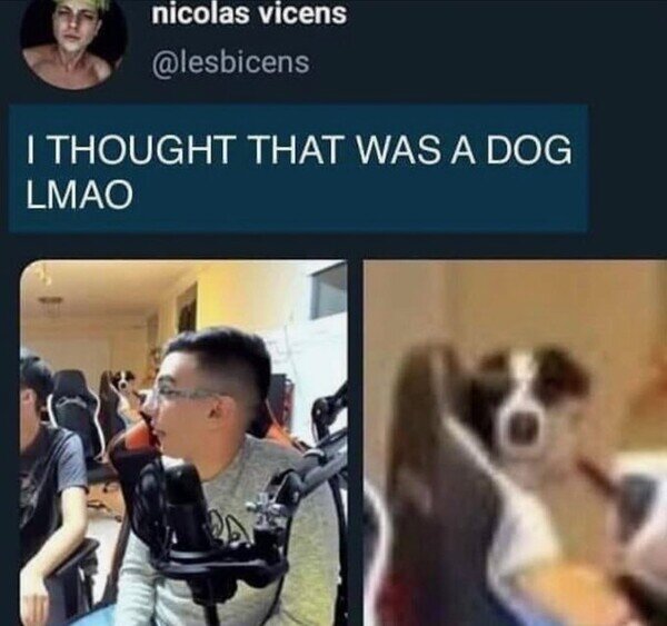 Meme_otros - Yo también pensé que era un perro