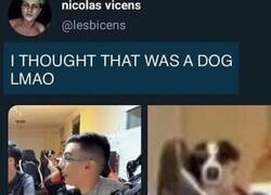 Enlace a Yo también pensé que era un perro