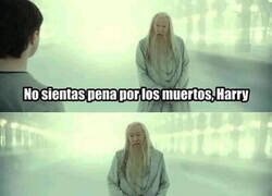 Enlace a Siente pena por ellos, Harry