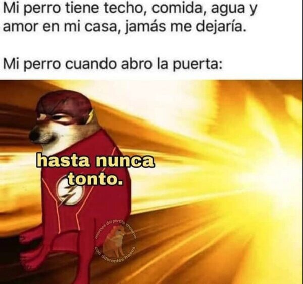 Meme_otros - Por ahí se escapa Flash