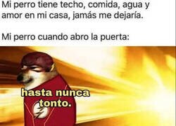 Enlace a Por ahí se escapa Flash