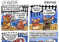 Enlace a La rueda de la vida