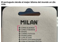 Enlace a Gracias al portugués por existir