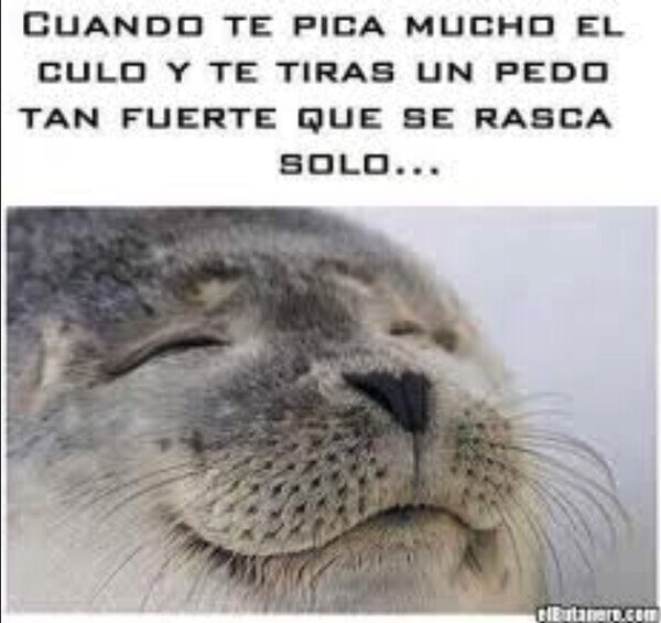Meme_otros - Tan asqueroso como satisfactorio