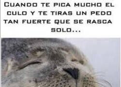 Enlace a Tan asqueroso como satisfactorio