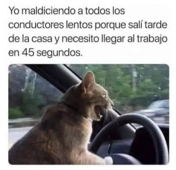 Otros - Es culpa de todo el mundo menos mía