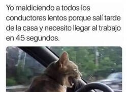 Enlace a Es culpa de todo el mundo menos mía