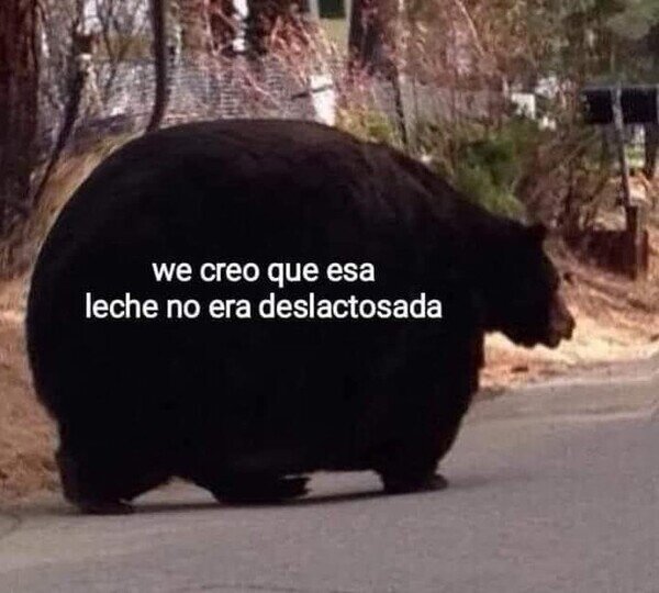Meme_otros - Me he hinchado