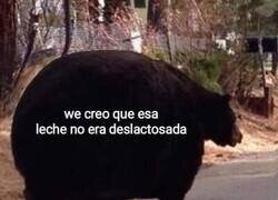 Enlace a Me he hinchado