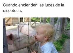 Enlace a Revelación de identidades